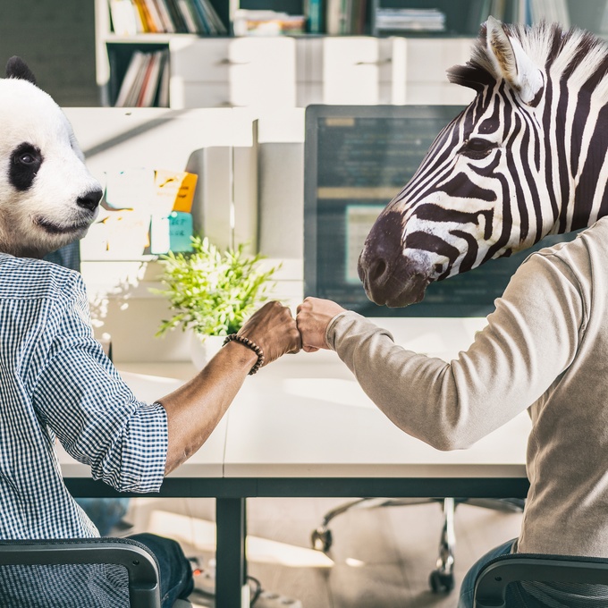 Cybersécurité vs FinOps : 2 frères ennemies ? cover